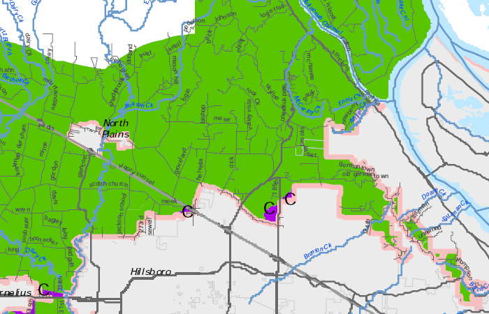 ANRC proposal, 1/11/10