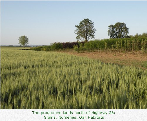 The productive lands north of Highway 26: Grains, Nurseries, Oak Habitats
