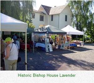 Historic Bishop House Lavender