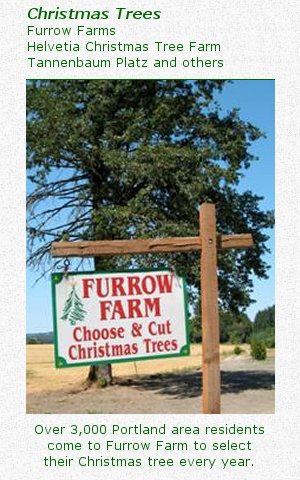 Christmas trees: Furrow Farms
