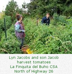 Lyn Jacobs and son Jacob harvest tomatoes