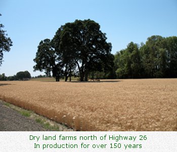 Dry land farms north of Highway 26 in production for over 150 years