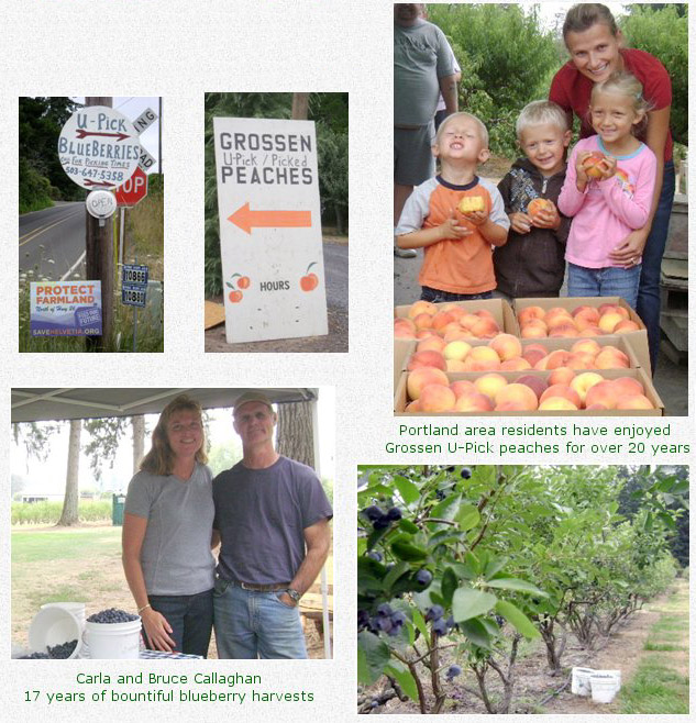 Specialized Farms north of Highway 26 - Organic Agriculture