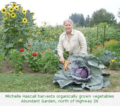 Michelle Hascall harvests organically grown vegetables / Abundant Garden, north of Highway 26