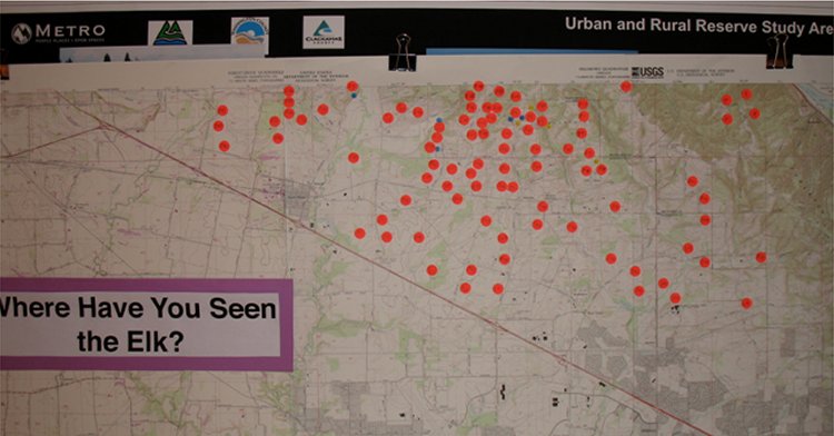 The red dots signify where Elk were spotted and blue are Bobcat sightings