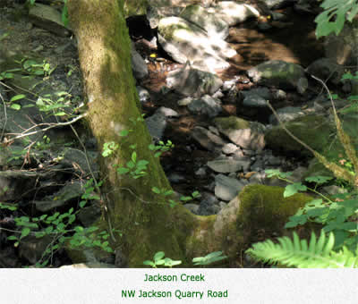 Jackson Creek