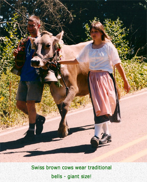 Swiss brown cows wear traditional bells - giant size!