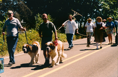 St. Bernard dogs