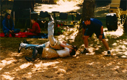 Schwingen - Swiss-style wrestling